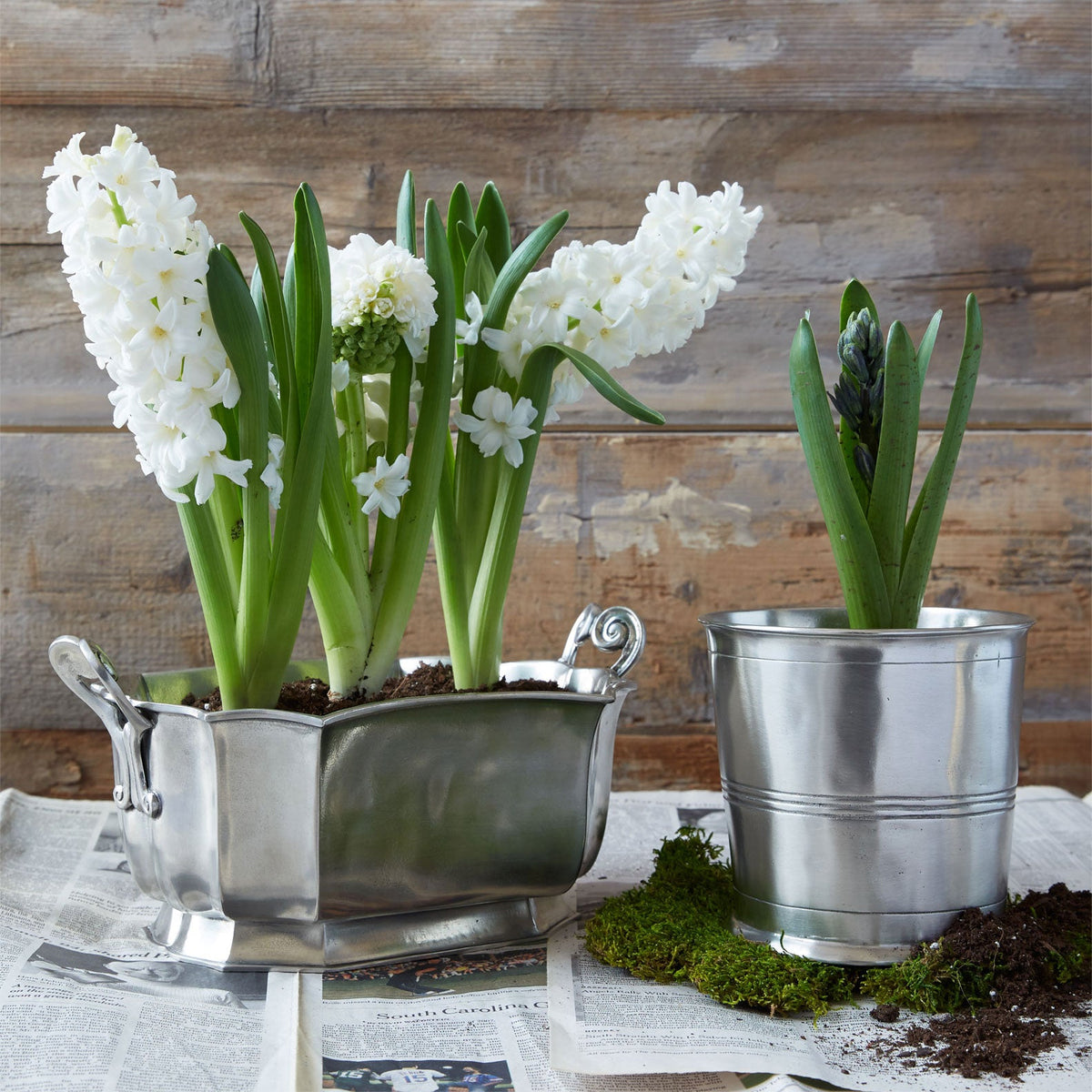 MATCH pewter mushroom bowl on the table