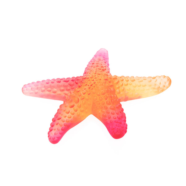 DAUM Starfish Mer de Corail DAUM Starfish Mer de Corail