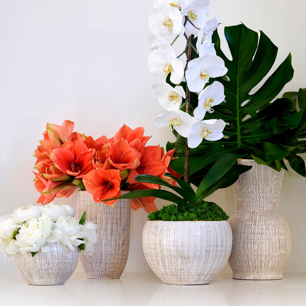 AERIN Amelie Cachepot AERIN Amelie Cachepot