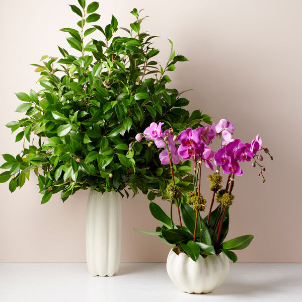 AERIN Mirabelle Tall Vase AERIN Mirabelle Tall Vase