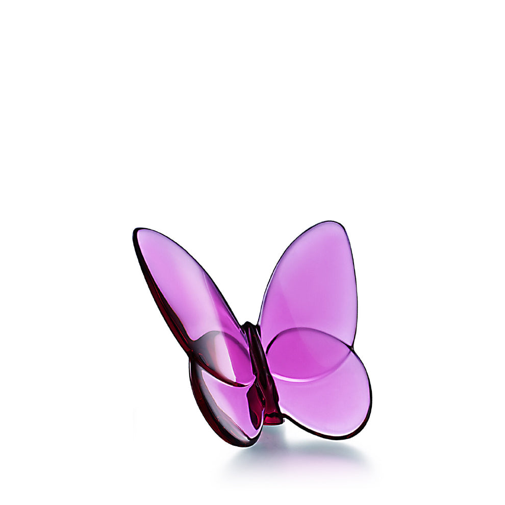 Papillon Lucky Butterfly