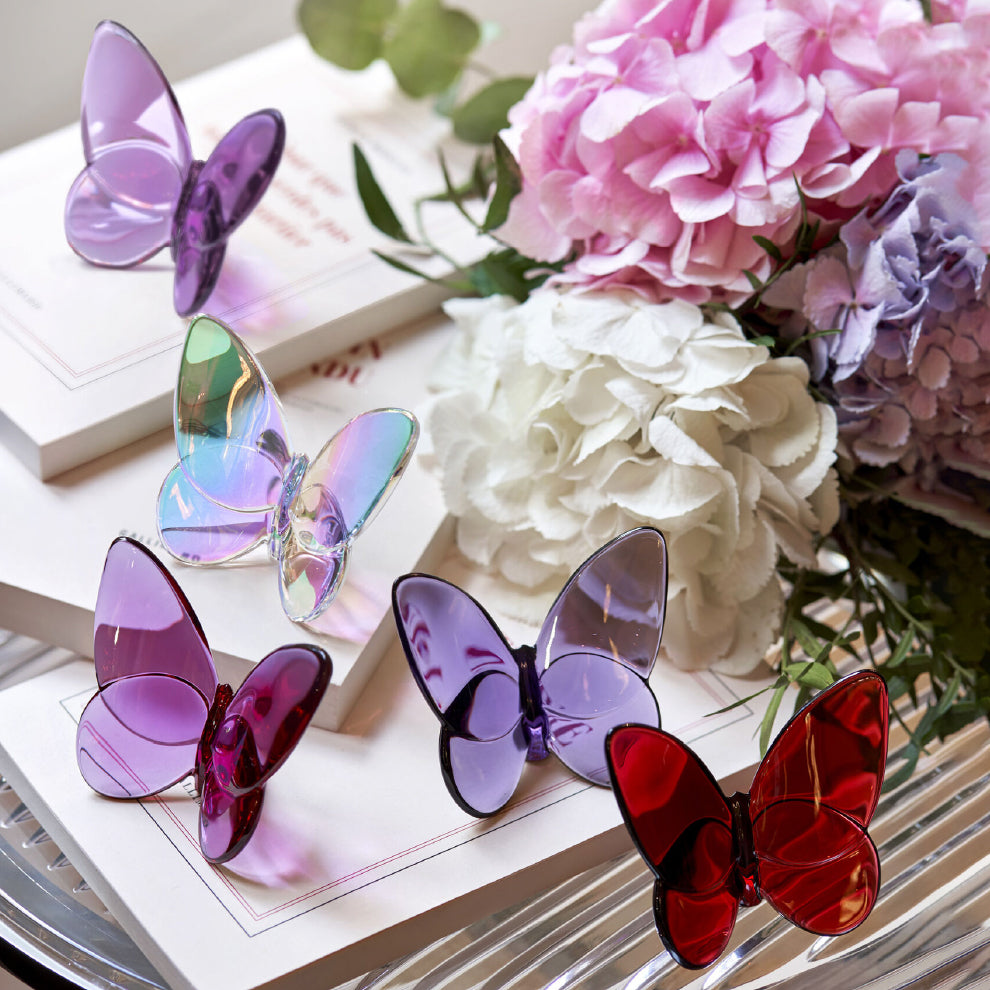 Papillon Lucky Butterfly
