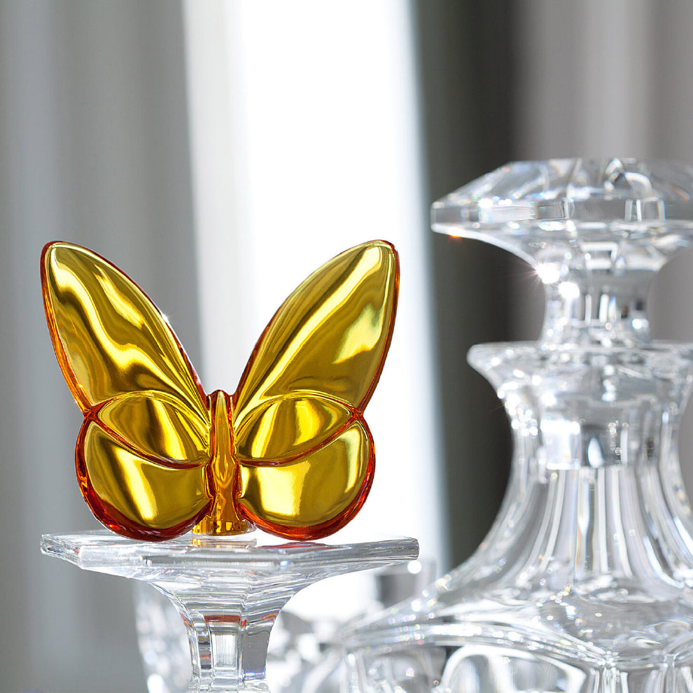 Papillon Lucky Butterfly