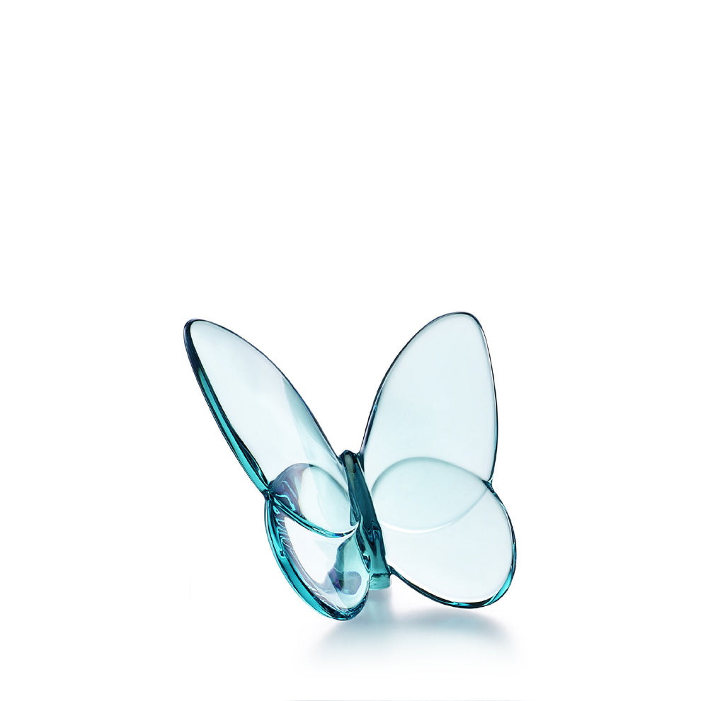 Papillon Lucky Butterfly