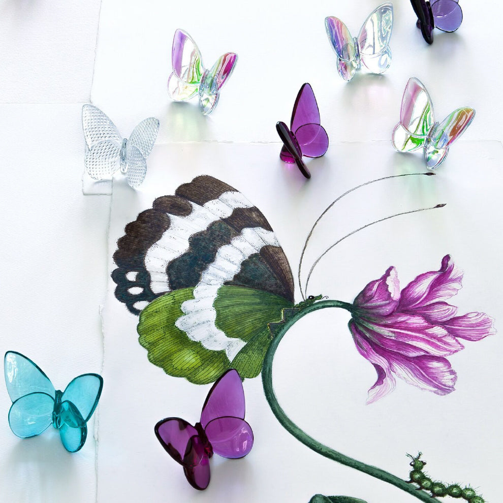 Papillon Lucky Butterfly