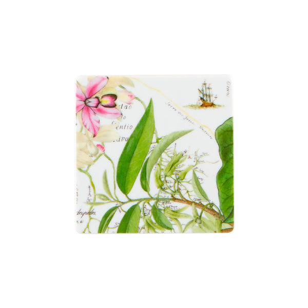 VISTA ALEGRE Amazonia Set of 4 Coasters VISTA ALEGRE Amazonia Set of 4 Coasters