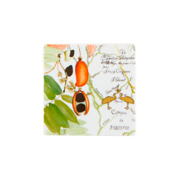 VISTA ALEGRE Amazonia Set of 4 Coasters VISTA ALEGRE Amazonia Set of 4 Coasters