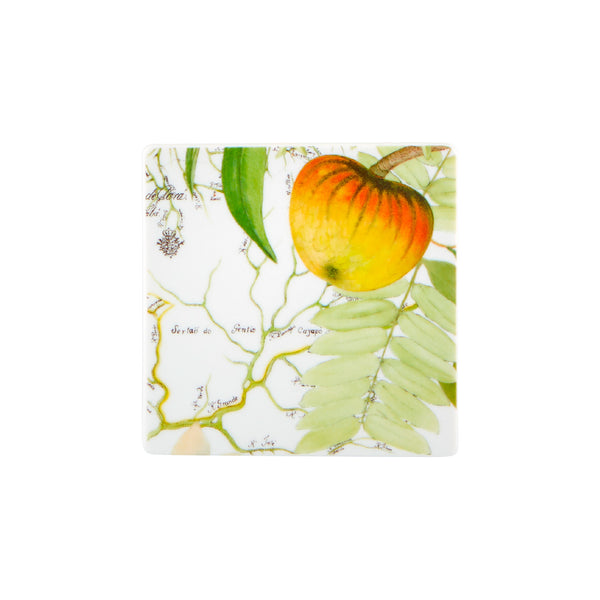 VISTA ALEGRE Amazonia Set of 4 Coasters VISTA ALEGRE Amazonia Set of 4 Coasters