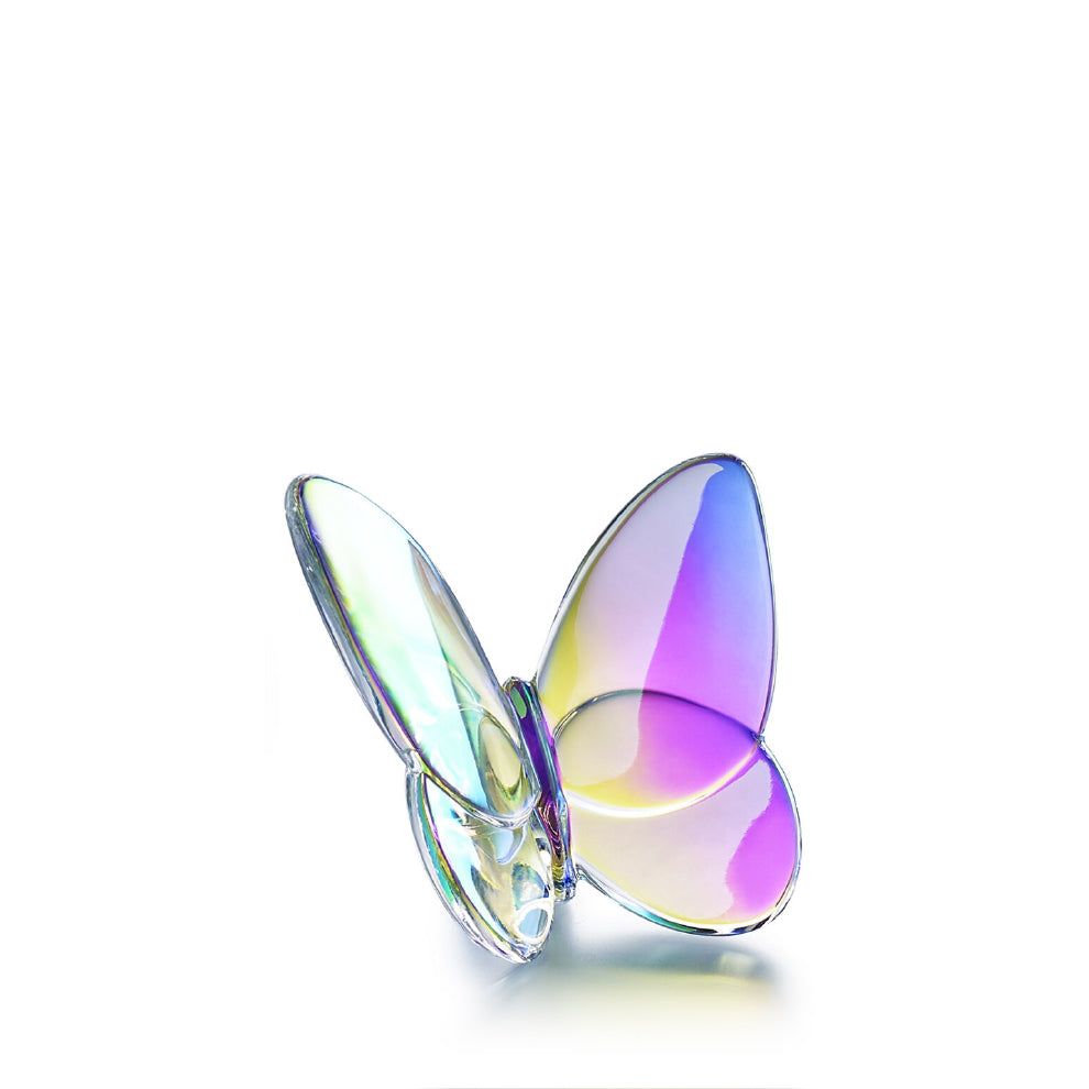 Papillon Lucky Butterfly