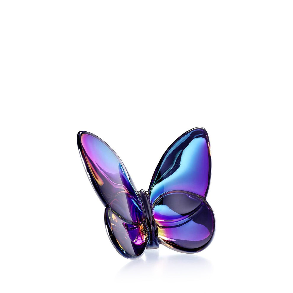 Papillon Lucky Butterfly