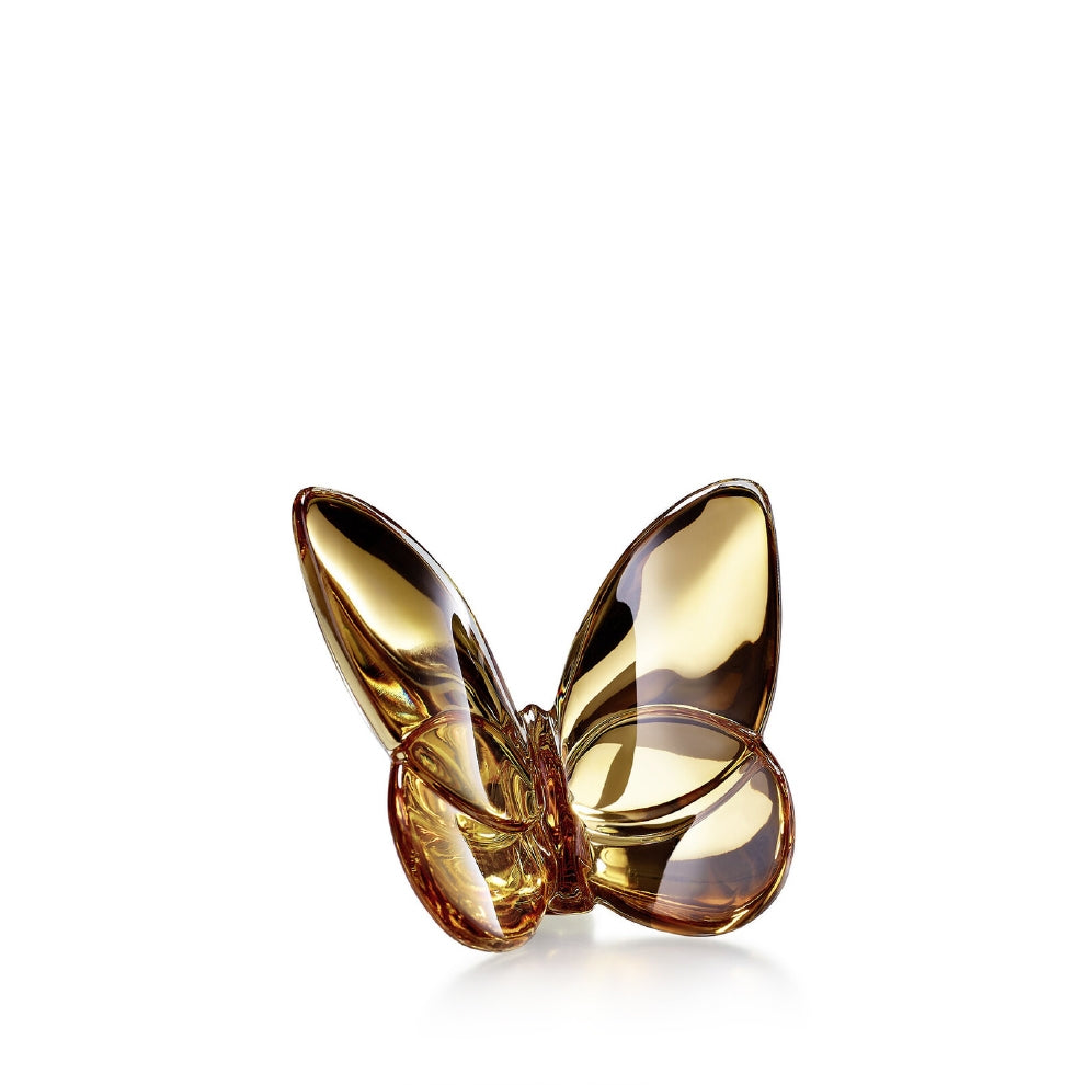 Papillon Lucky Butterfly