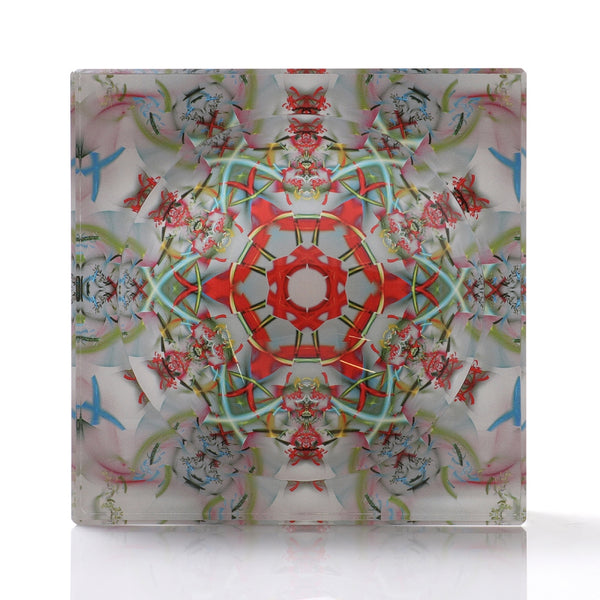 ALEXANDRA VON FURSTENBERG Kaleidoscope Candy Bowl ALEXANDRA VON FURSTENBERG Kaleidoscope Candy Bowl