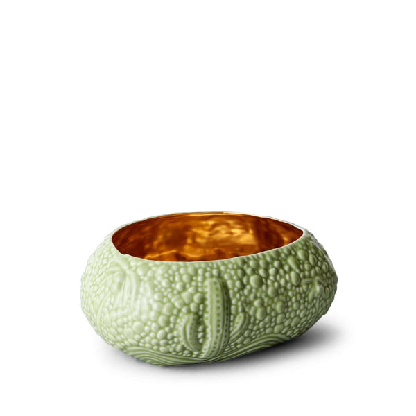 L'OBJET Haas Mojave Desert Bowl - Matcha L'OBJET Haas Mojave Desert Bowl - Matcha