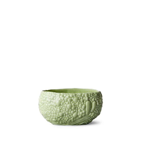 L'OBJET Haas Mojave Desert Bowl - Matcha L'OBJET Haas Mojave Desert Bowl - Matcha