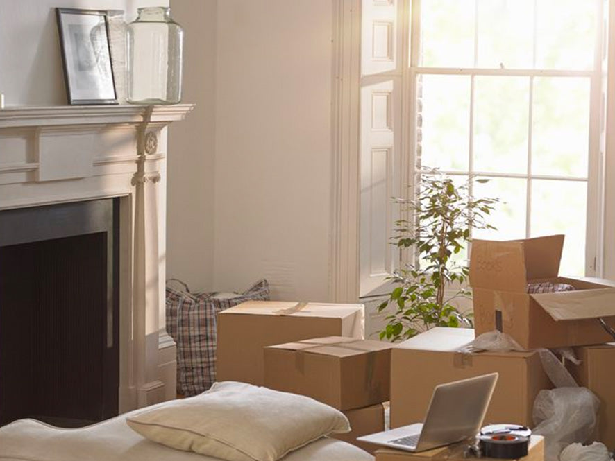 Spring Cleaning : 10 Ways To Revitalize Your Home for Spring