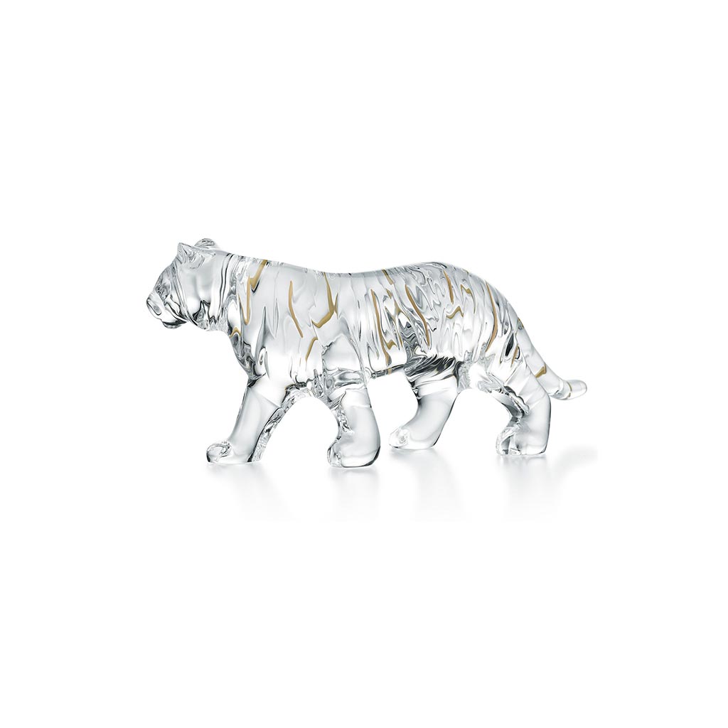 Clear Tiger