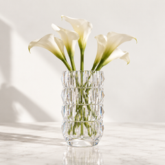 Baccarat Louxor Round Tall Vase Clear