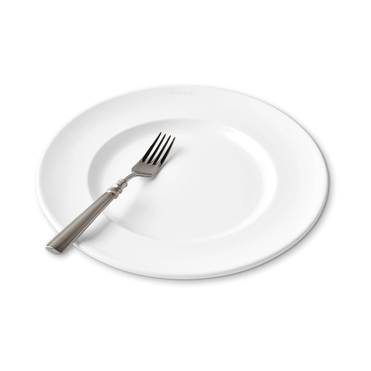 MATCH 1508 dinner plate place setting