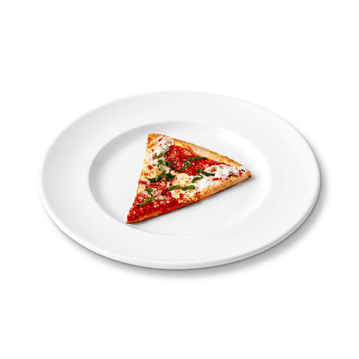 MATCH 1508 dinner plate serving pizza