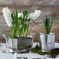 MATCH pewter mushroom bowl on the table