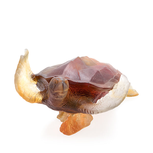 DAUM Sea Turtle Mer de Corail