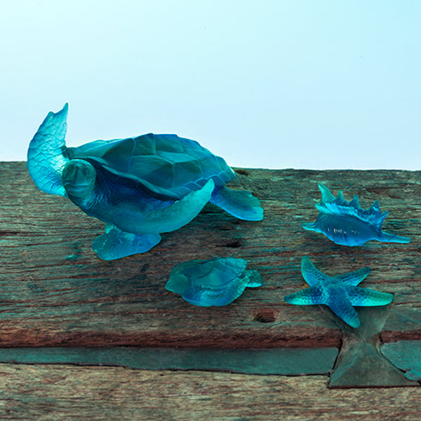 DAUM Sea Turtle Mer de Corail