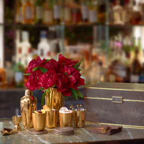 AERIN Mattea Cocktail Pick Set Of 4