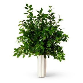 AERIN Mirabelle Tall Vase