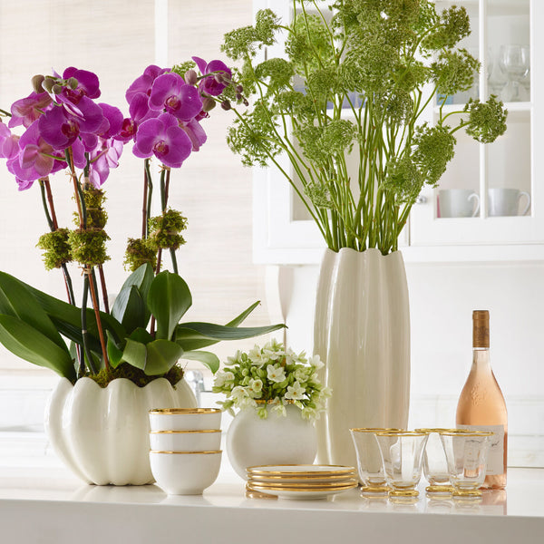AERIN Mirabelle Tall Vase