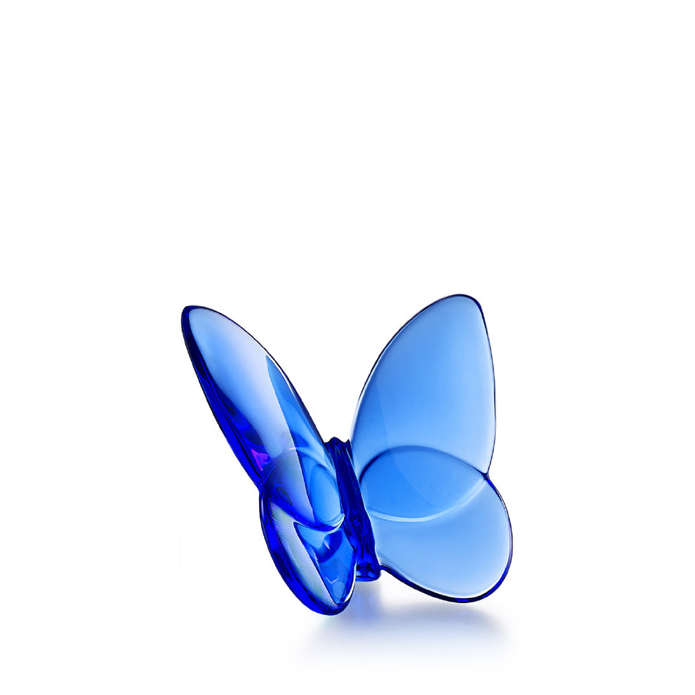 Papillon Lucky Butterfly