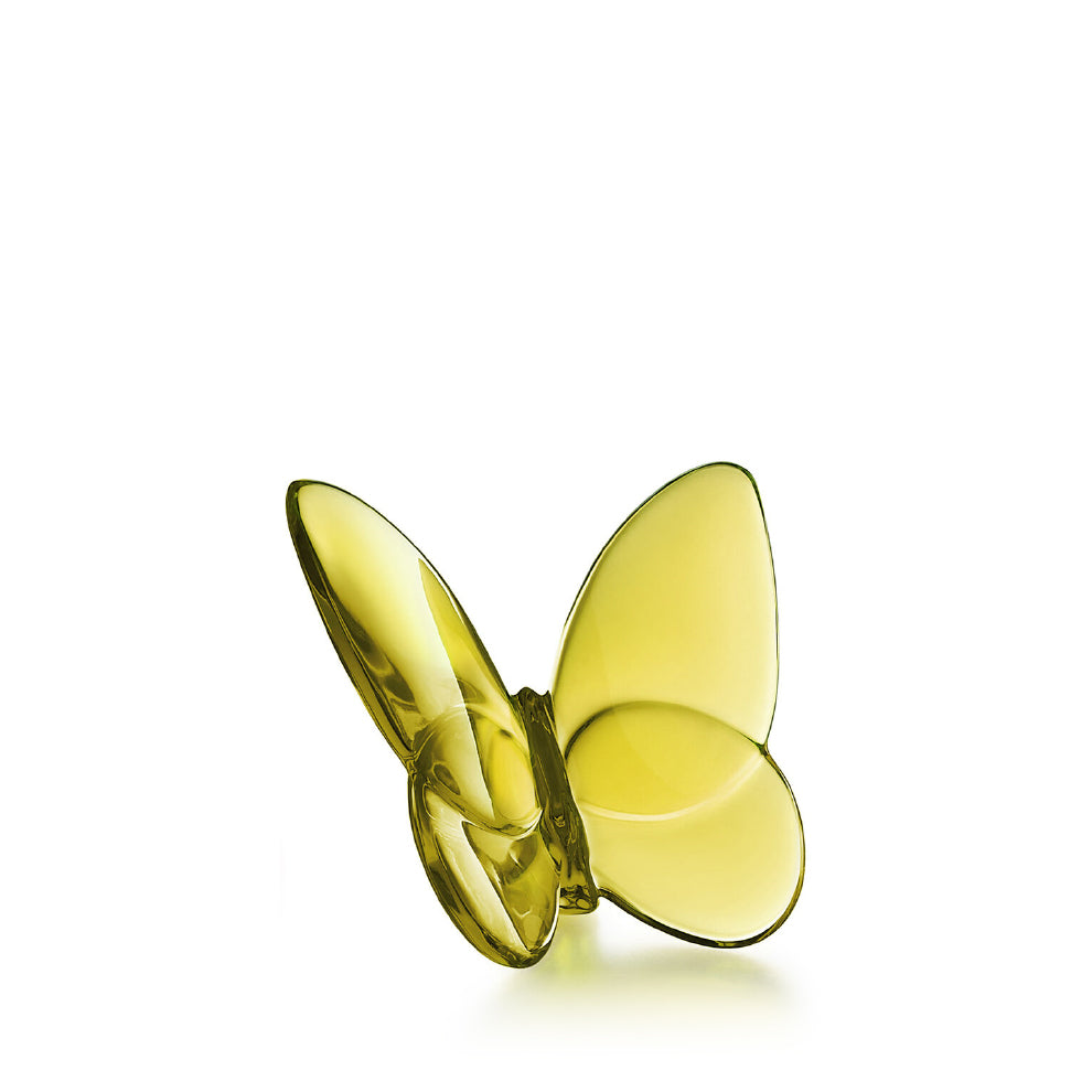 Papillon Lucky Butterfly