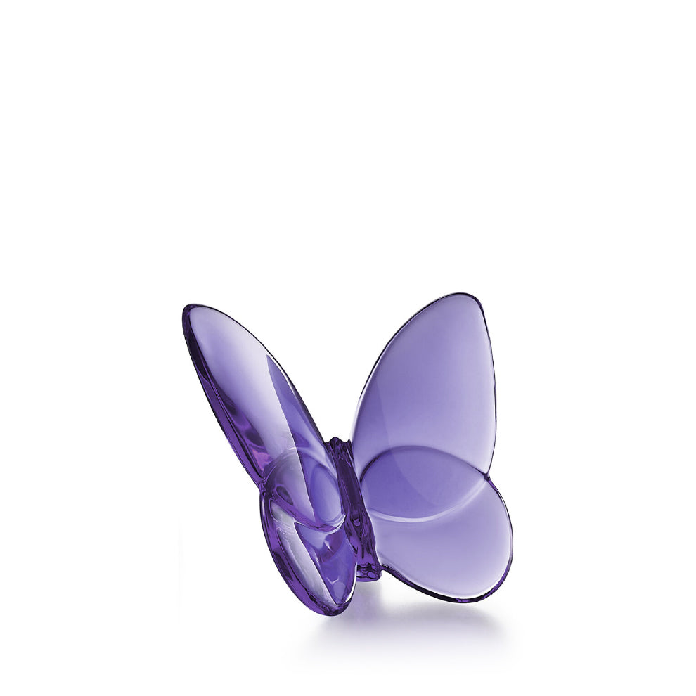 Papillon Lucky Butterfly