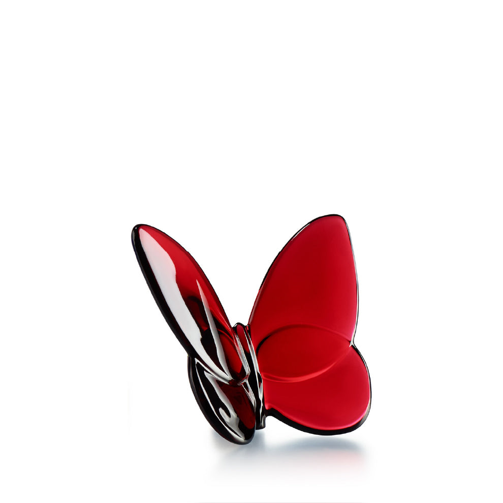 Papillon Lucky Butterfly
