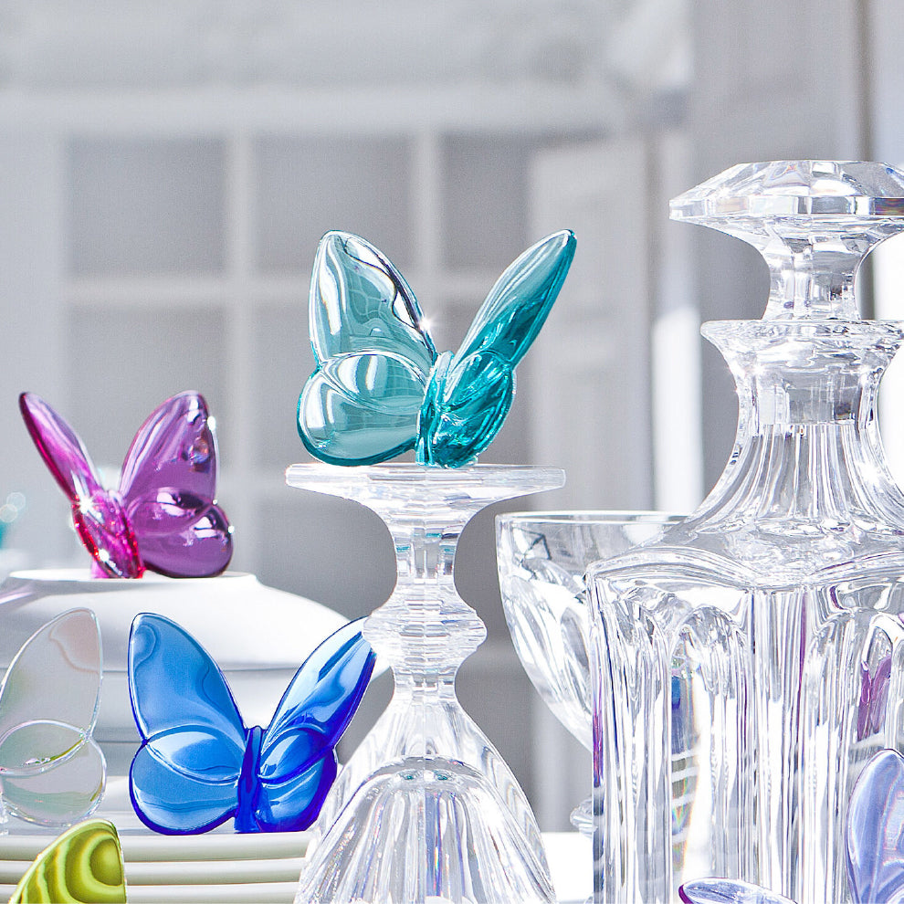Papillon Lucky Butterfly