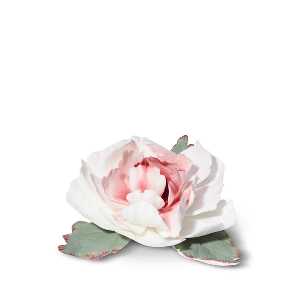 AERIN Peony Porcelain Flower