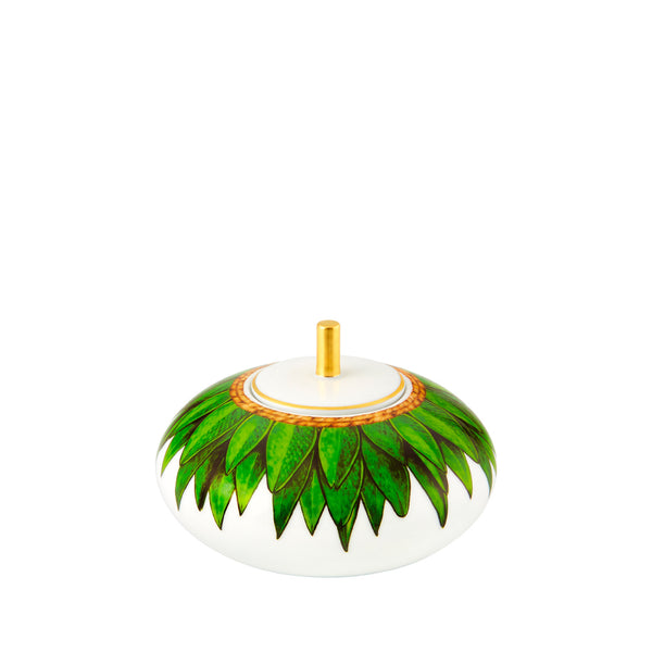 VISTA ALEGRE Amazonia Sugar Box