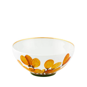 VISTA ALEGRE Amazonia Cereal Bowl Set of 4