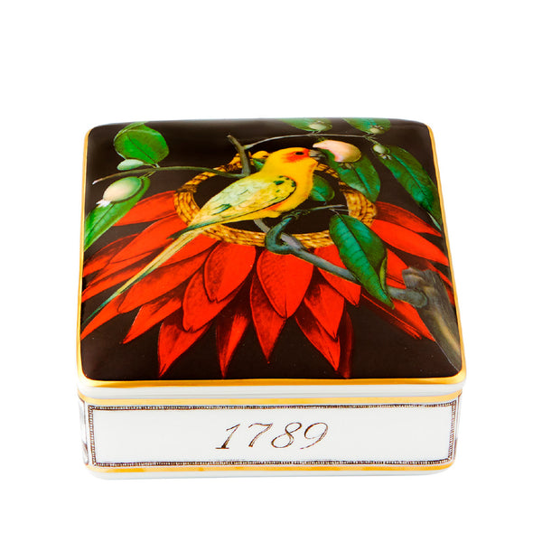VISTA ALEGRE Amazonia Card Box Dark