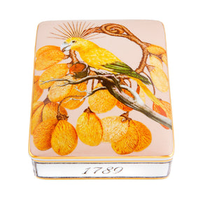 VISTA ALEGRE Amazonia Card Box Lighter