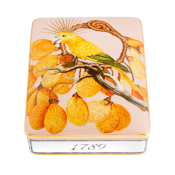 VISTA ALEGRE Amazonia Card Box Lighter