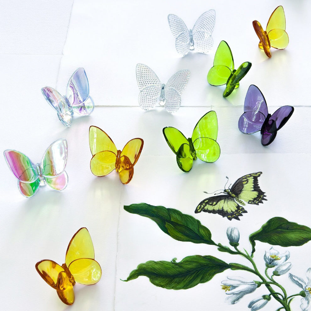 Papillon Lucky Butterfly