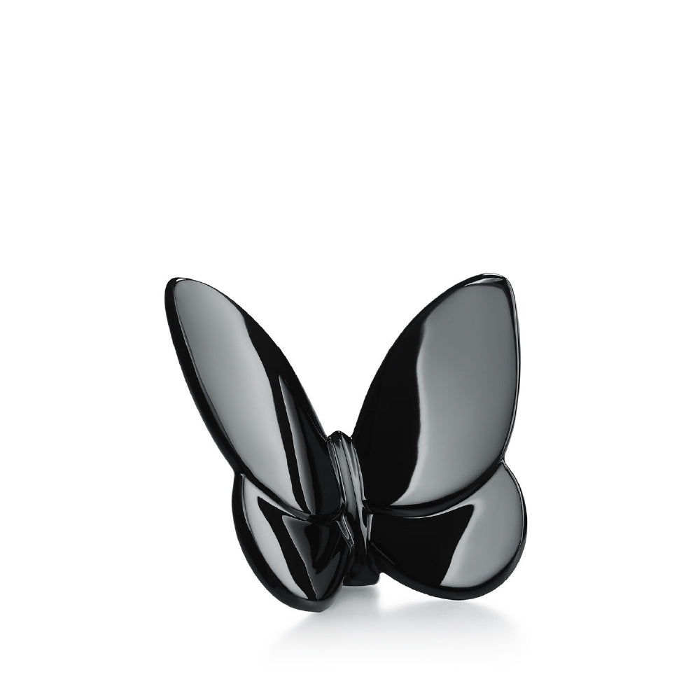 Papillon Lucky Butterfly
