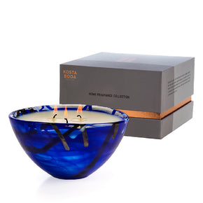 KOSTA BODA Small Blue Contrast - Coastal Bloom