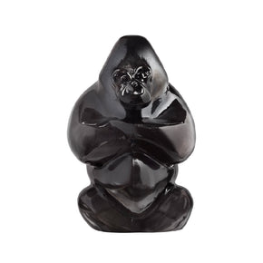 KOSTA BODA My Wide Life Gabba Gabba Hey