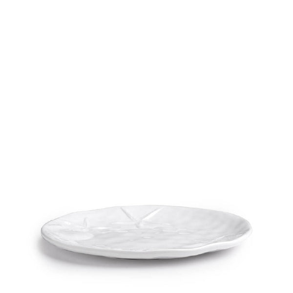 Q SQUARED Captiva Sea Life White Melamine Salad Plate Set Of 4