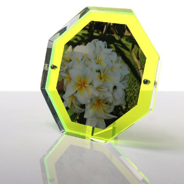 ALEXANDRA VON FURSTENBERG Bolt Snap Frame