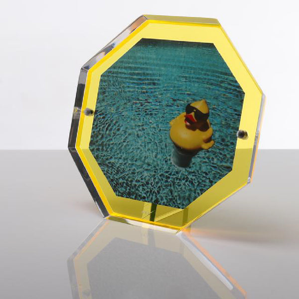 ALEXANDRA VON FURSTENBERG Bolt Snap Frame