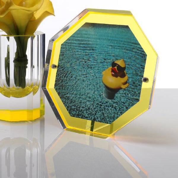 ALEXANDRA VON FURSTENBERG Bolt Snap Frame