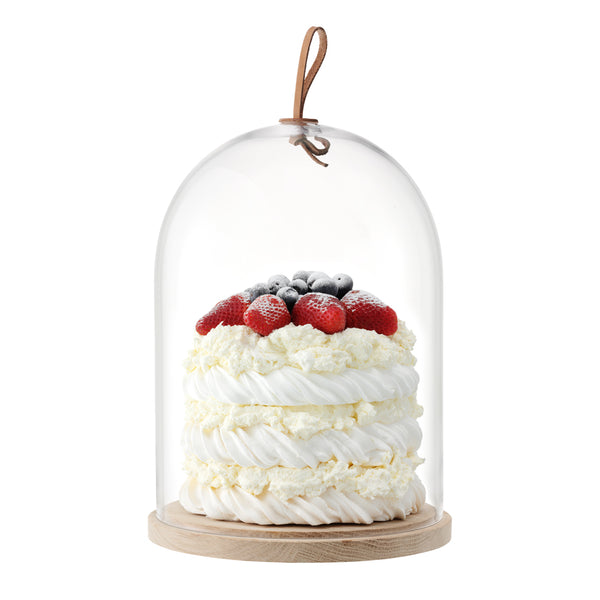 LSA INTERNATIONAL Ivalo Dome & Ash Base