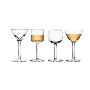 LSA INTERNATIONAL Lulu Liqueur Glass Set of 16